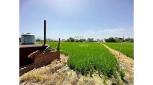 住商不動産台南公園加盟店 - 白河近中正路都內美農地